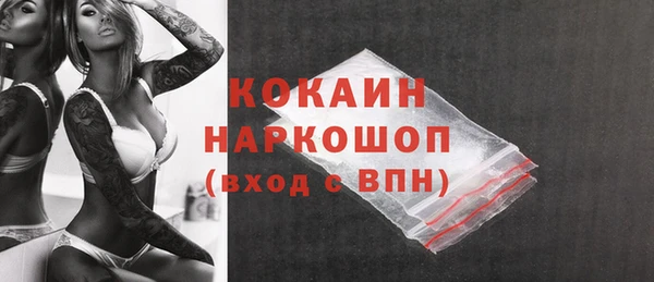 ПСИЛОЦИБИНОВЫЕ ГРИБЫ Слюдянка
