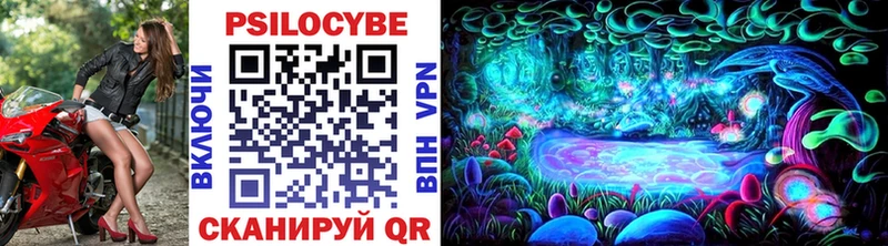 наркошоп  Долгопрудный  Галлюциногенные грибы Psilocybine cubensis 