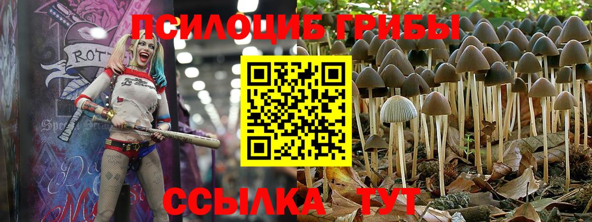 Галлюциногенные грибы Magic Shrooms Долгопрудный