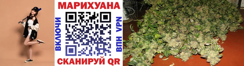 наркотики  Долгопрудный  hydra ссылка  МАРИХУАНА SATIVA & INDICA 