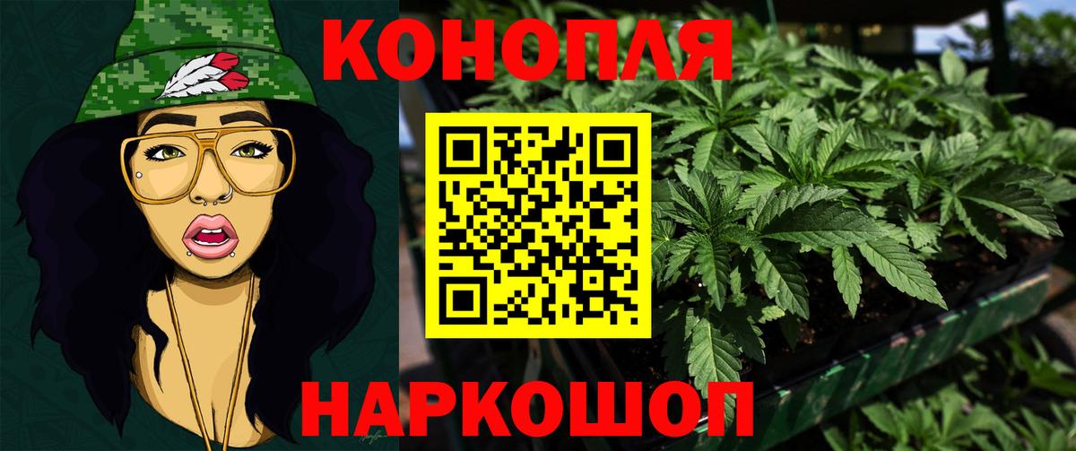 Каннабис индика Долгопрудный